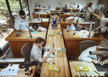 Cos'è Crow & Caliber?