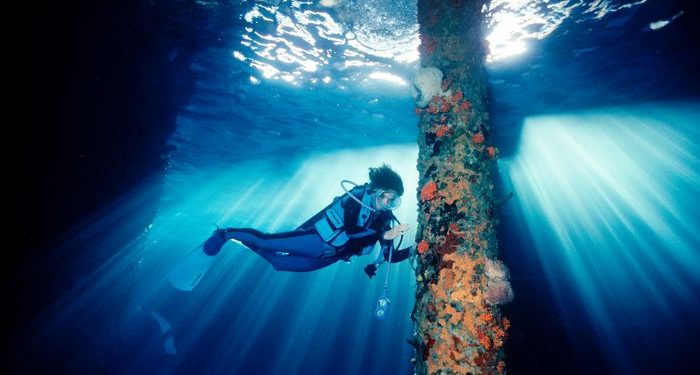 rolex sostenibilità